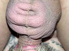 Holy Hell! Who’s Up for Some Wild Gay Fucking Action Tonight?