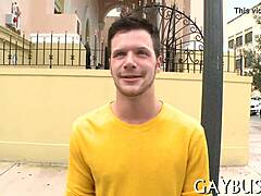 dilettante gay sex scene