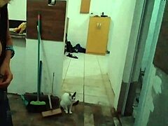 big tits show with cook stella still in red