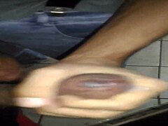 Pará helps jacaré in an indian anime adventure