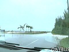 I share free homo sex pics from my collection