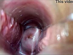 योनि ऑर्गेज्म हाई डेफिनिशन क्लोज-अप एक्शन में कैप्चर