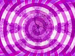 one confused sissy explores new ideas