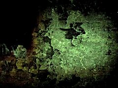 I mean, these vintage erotic drawings... they're just so captivating, y'know? Like, totally draw you in...