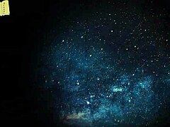 Welcome To Free Will 38