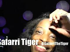 i'm buggati bubblez turnt up with safari tiger bbc jimmyd in da club