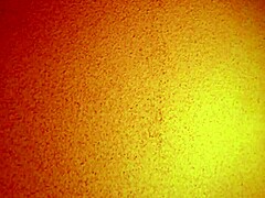 Asian hooker licks in missionary for creampie!