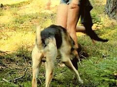 डार्क लैंटर्न एंटरटेनमेंट प्रेजेंट्स ब्यूटी एंड द बीस्ट