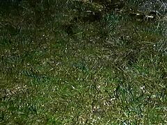 first i gave her a cigarette, then i dove into her pussy... yum! 😏