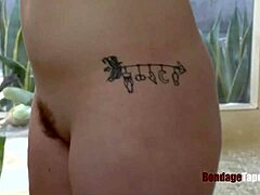 Ready to settle that dominant debt with bound missionary action in Vienna?