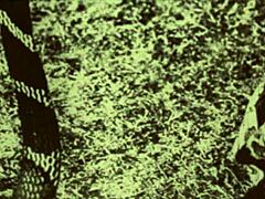 dark lantern entertainment shares a vintage tale of beauty and the beast with antique scenes and retro vibes