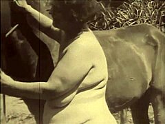 dark lantern entertainment shares a vintage tale of beauty and the beast with antique scenes and retro vibes