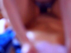 Is this your sister's companion in your house?