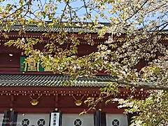 Hot milf drops panties for young thief's bent over fucking!