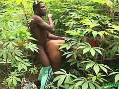 our first sex experiment in the bush