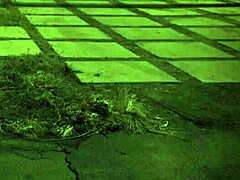 i dominate with trampling unless you're from the sixties