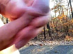 Clitlicker662 shares flashing update 21 with img 1257 from Nov 26 2024.