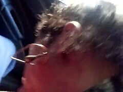 brazilian shemale gives oral in car