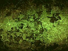 vintage erotic film about a secret life with antique elements and retro scenes