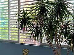 Hot latina milf shares secret with neighbor