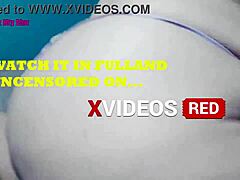 is the horny halloween trailer out on xvideos red yet?