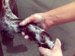 बड़ी स्टेपसिस्टर भाई के विशाल लंड से खेली