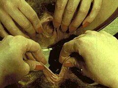 vintage pregnant lesbians in 19th century diaries