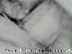 secret life presented