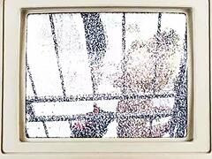 Petite Pussy Creampie