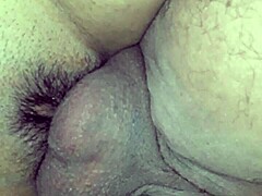 casual wife anal fun