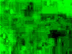 Girlfriend Riding Hard