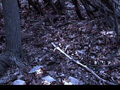 Frozen Rough Fuck Control