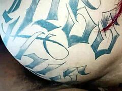 Neighbor Creampie Twice