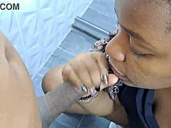 Horny Blowjob Highlights