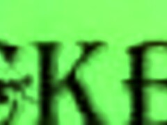 Weekend Laundry Lady