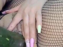 colombian cucumber insertion 😏