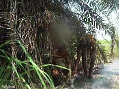 African Girls Jerking