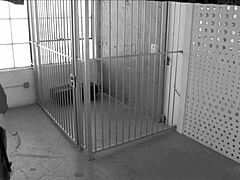 blonde seeks strapon