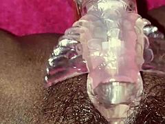 Playful Pussy Attention