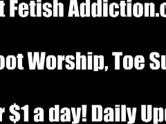 plead for silky feet