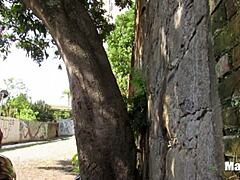 Outdoor Cumshot Thrill