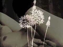 Victorian Gentleman's Confessions