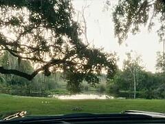 घुटनों पर